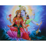 Lord Vishnu and Goddess Lakshmi on Lotus